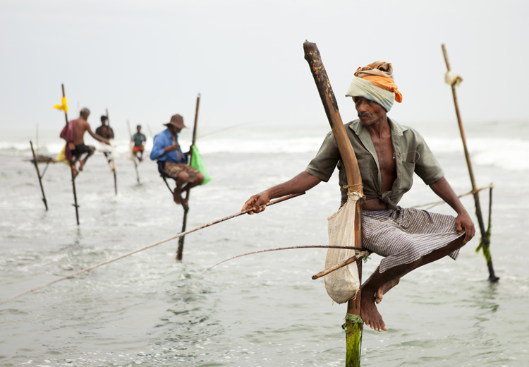 Рыбаки на шестах