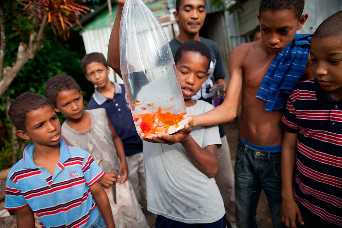Дети в Доминикане